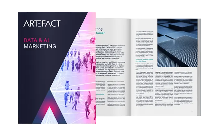 Data & AI Marketing Report